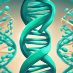 Illustrazione moderna di una molecola di DNA che si srotola per produrre un filamento di RNA, costruendo una catena di amminoacidi, rappresentazione della sintesi delle proteine spiegazione semplice.